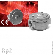Фильтр газовый 2 бар, Rp 2″