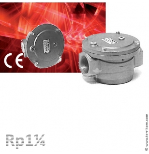 Фильтр газовый 2 бар, Rp 1¼"